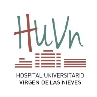 Virgen de las Nieves